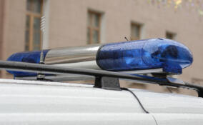 Всеволожская полиция задержала поджигателя автомобиля