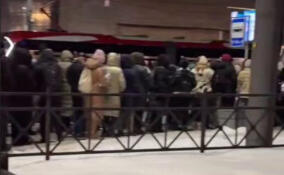 Очередь на автобус до Кудрово собрала около сотни человек