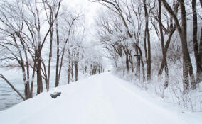 Во Всеволожском районе ожидается морозная погода