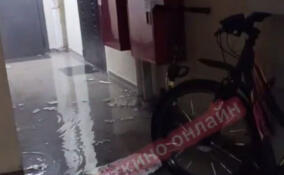 В одном из домов в Мурино затопило подъезд