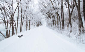 Во Всеволожском районе ожидаются метели
