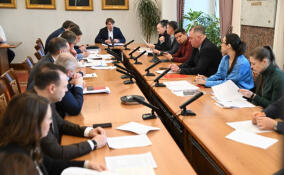 Проект ледовой арены в Сертолово будет создан за счет бюджета Ленобласти