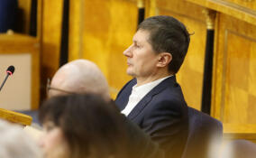 Заневскому поселению выделят деньги на развитие ливневой канализации