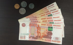 Пенсионерке из Всеволожского района вернут украденные деньги