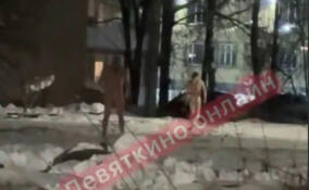 Двое голых мужчин пробежались по улице в Лесколово