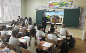 Сотрудники ГАИ посетили школу в Кудрово