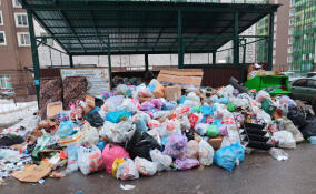 Жители Мурино пожаловались на плохой вывоз мусора