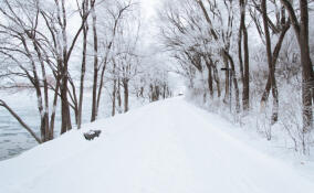 Во Всеволожске ожидается мокрый снег