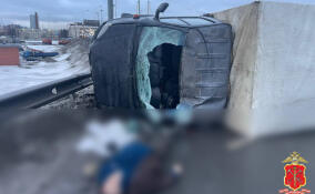 Водителя, скрывшегося с места смертельного ДТП у Новосаратовки, задержали