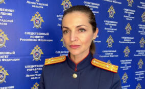 Пропавшего подростка из Янино-1 нашли