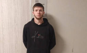 Полиция задержала мужчин, ограбивших магазин в Кудрово