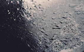 Во Всеволожском районе ожидается мокрый снег