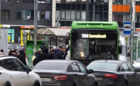 Мужчина распылил «перцовку» в салон автобуса в Кудрово