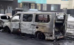 В Кудрово обгорели пять автомобилей