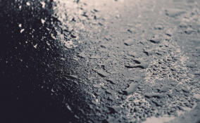 Во Всеволожском районе потеплеет