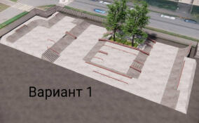 Во Всеволожске модернизируют скейт-площадку