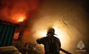 В Мурино выгорела иномарка