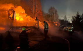 В Янино-1 сгорела бытовка