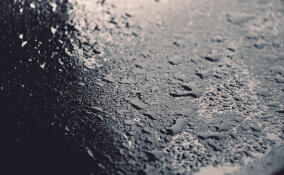 Во Всеволожском районе ожидается дождь