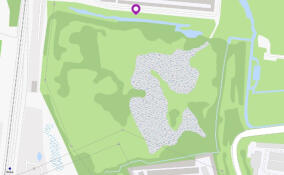 В Кудрово земельный участок в 70 тыс. «квадратов» вернули в госсобственность