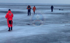 Спасатели помогли двум мужчинам, застрявшем на льду Ладожского озера