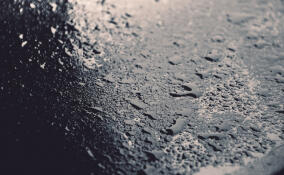 Во Всеволожском районе будет дождливо