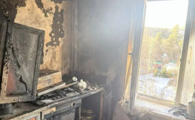 Пожарные спасли трех человек из горящей квартиры в Гарболово