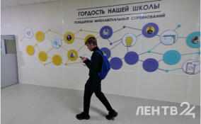 Всеволожские школьники поборются за победу на олимпиадах по экономике и испанскому языку