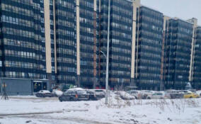 Собственника привлекут к ответственности за плохую уборку ЖК «ID Кудрово»