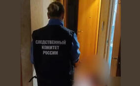 Жительницу поселка имени Свердлова будут судить за убийство