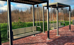 В Янино-1 и Кудрово появятся благоустроенные зоны отдыха