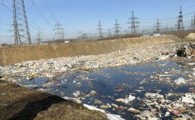 Россельхознадзор провел осмотр незаконного мусорного полигона в Новосергиевке