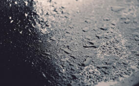 Во Всеволожском районе ожидается туман