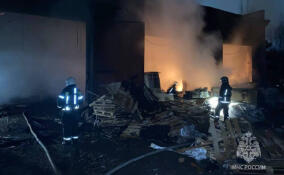 В Мурино потушили горящий склад