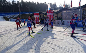 В Токсово стартовал Кубок Анны Богалий