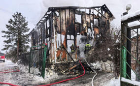 В Больших Порогах сгорел дом