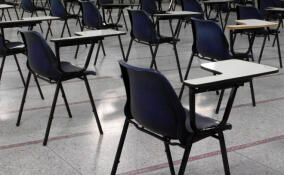 Дети сообщили о побоях от учительницы в школе Нового Девяткино