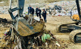 СК и экомилиция прибыли с проверкой на свалку в Новосергиевке