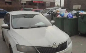 Жителей Заневского поселения оштрафовали за парковку возле мусорных контейнеров