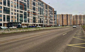 Дороги в Заневском поселении закроют на просушку