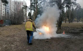 Во Всеволожском районе прошел учебно-методический сбор спасателей