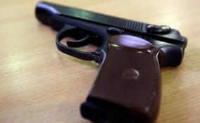 Подросток стрелял по окнам дома в Невской Дубровке