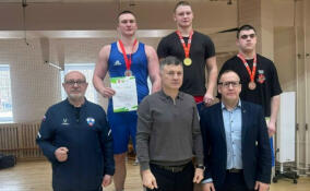 Всеволожские спортсмены взяли медали на первенстве СЗФО по боксу