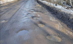Жители всеволожских СНТ пожаловались на плохое качество дорог