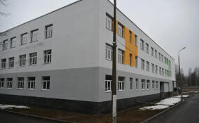 Школьницы из Всеволожского района вышли в финал Всероссийской олимпиады