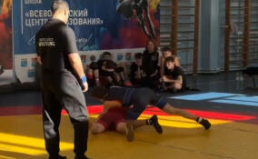 Во Всеволожске провели Первенство Ленобласти по вольной борьбе