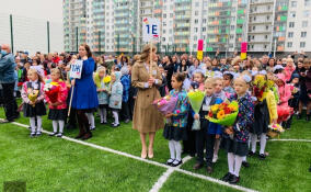Всеволожским родителям напомнили о необходимости записать детей в школы