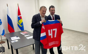 Во Всеволожске откроют Академию хоккея