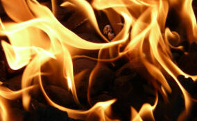 В Разметелево сгорела пристройка