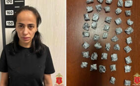 Полиция задержала мигрантку в Мурино с 42 свертками наркотиков